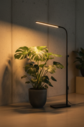 Ambient Botanical Lighting