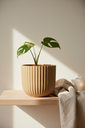 Matte Ceramic Pot